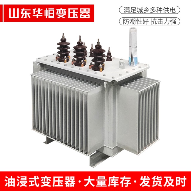 S13-10000/35辛集辛集辛集油浸式变压器厂家